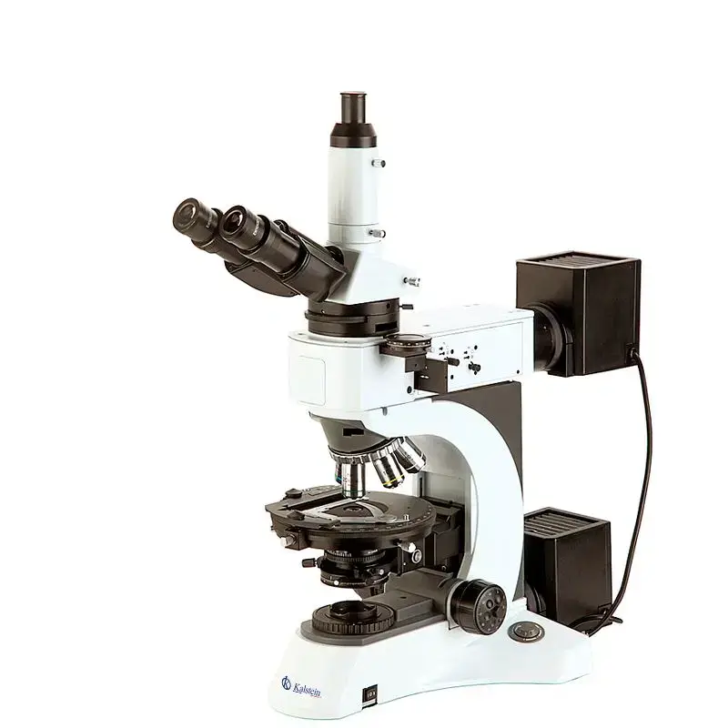 Sector Adaptations for the YR0262 Trinocular Microscope: Clinical, Industrial, Food, Veterinary and Educational Applications