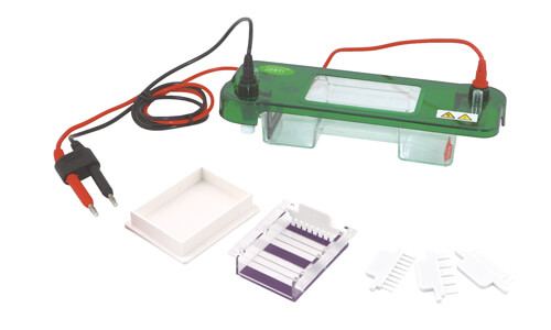 Horizontal Electrophoresis Cell YR03415