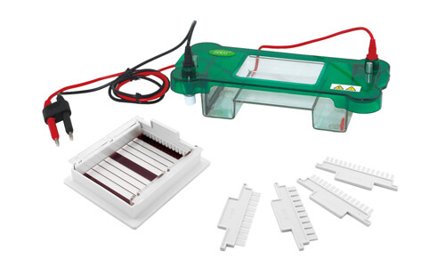 Horizontal Electrophoresis YR03416: A Comprehensive Buying Guide and Validation Criteria