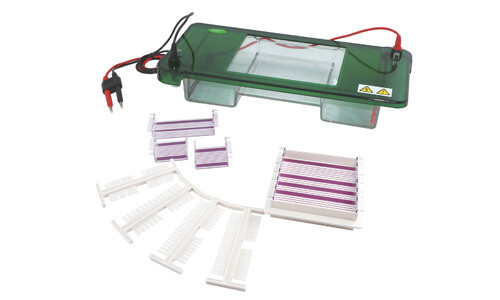 Understanding the Warranty and Expected Lifespan of the YR03418 Horizontal Electrophoresis Unit