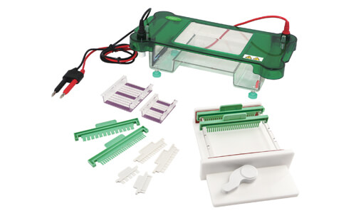 How to Interpret Results and Read Measurements with the YR03419 Horizontal Electrophoresis Unit