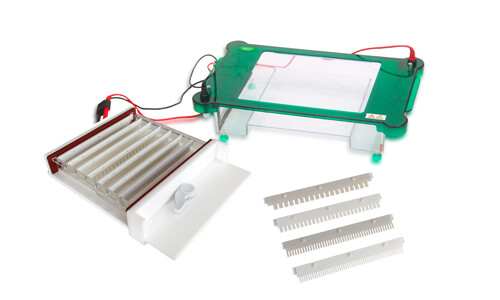 Interpreting Results and Reading Measurements with the YR03421 Horizontal Electrophoresis Unit