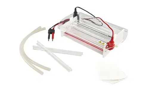 Interpreting Results and Measurement Readings with the YR03423 Cellulose Acetate Membrane Electrophoresis