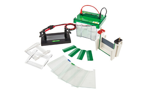 How Can Vertical Electrophoresis Contribute to Energy Sustainability in the Laboratory?