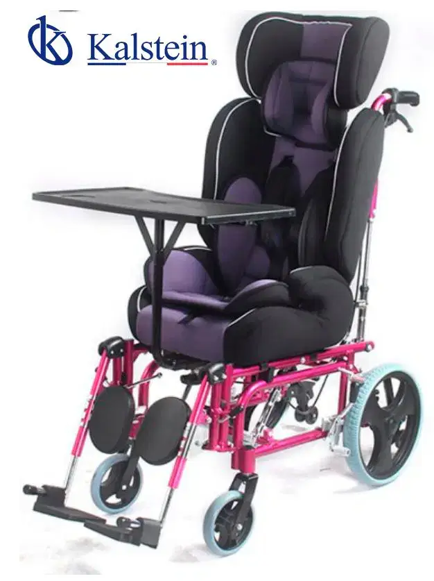 Sector Adaptations of the YR05460 Children Wheelchair: Industrial, Clinical, Educational, and Veterinary Uses