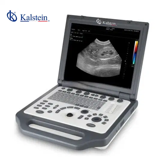 How can Veterinary Color Doppler Systems Contribute to Energy Sustainability?