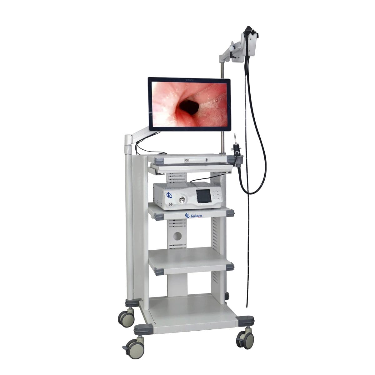 Veterinary Video Endoscope High Definition YR06147: Practical Applications in Laboratories