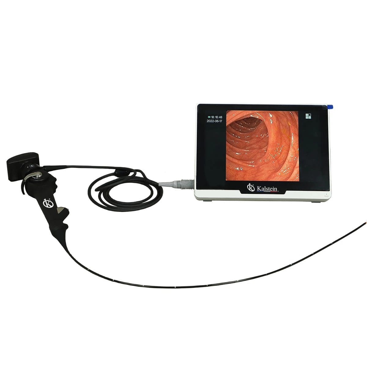 Installation and Setup Guide for the YR06153 Portable HD Veterinary Video Endoscope