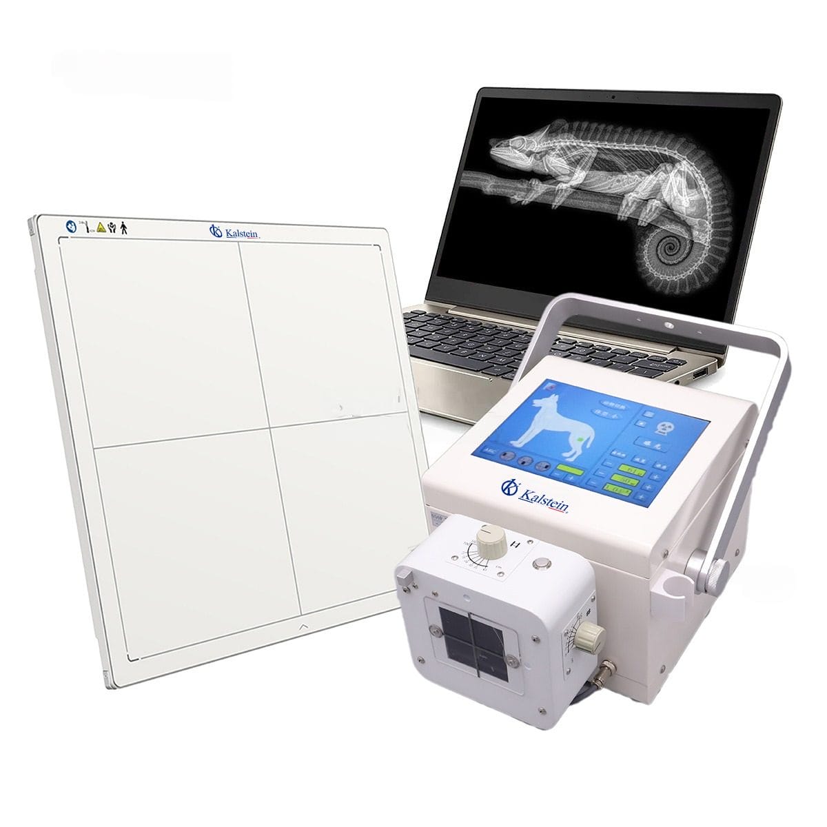 Environmental Conditions and Installation Requirements for the YR06160 Portable Digital Veterinary X-Ray