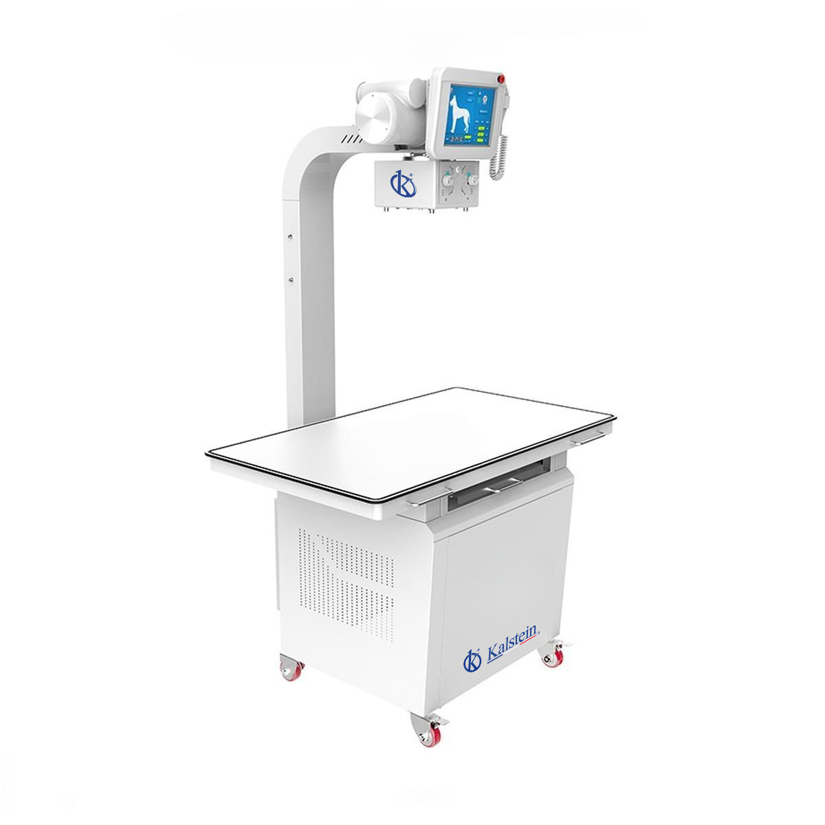 Understanding Site Requirements and Installation Conditions for the YR06162 Digital Veterinary X-ray