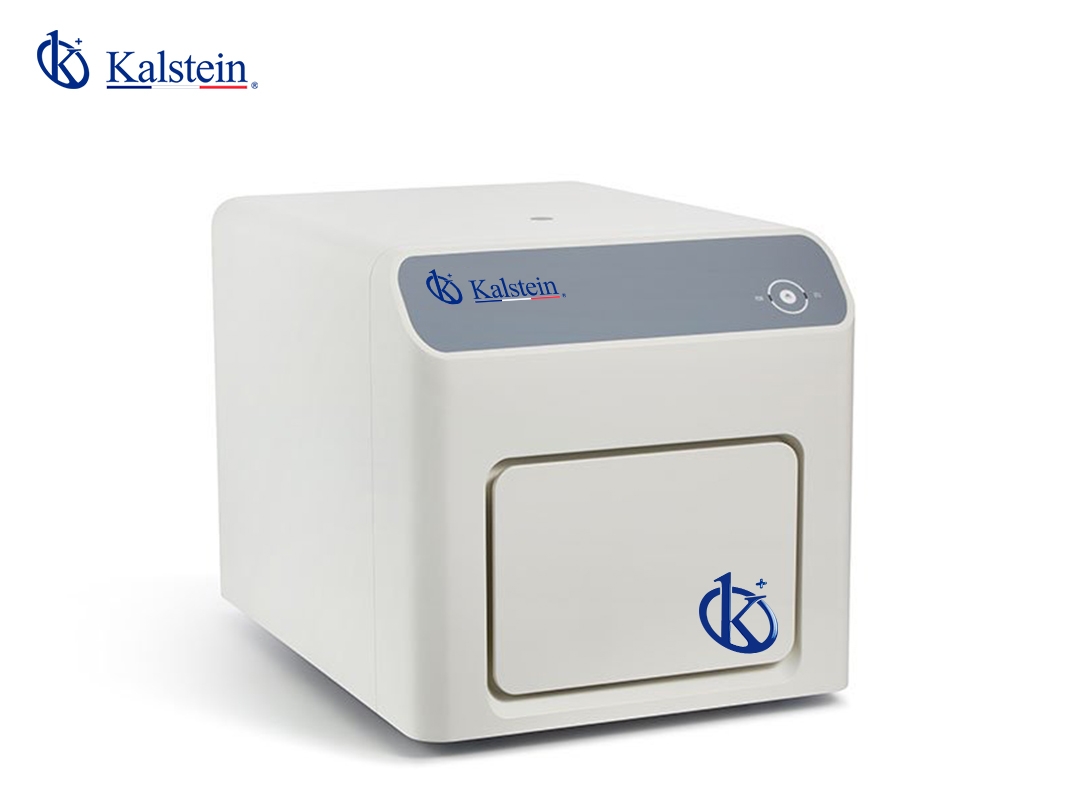 Key Technical Glossary and Terminology for the YR06249 Real-time PCR System