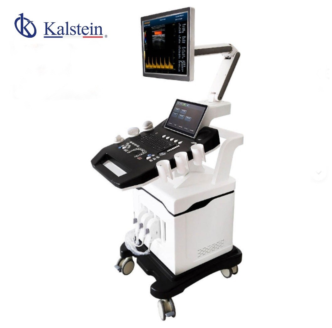 Technical Glossary and Key Terminology for the YR06635 Ultrasound Scanner