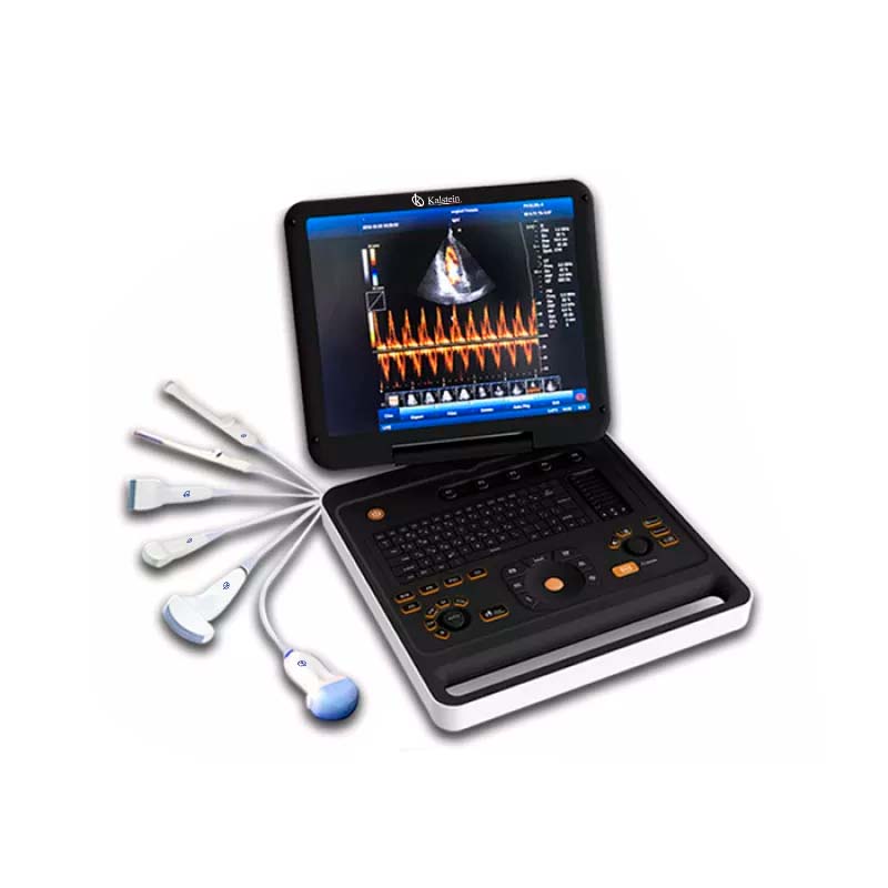 Care and maintenance of an ultrasound scanner?