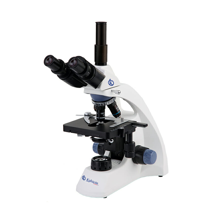 Biological Microscope YR0242-M // YR0242-T – 2