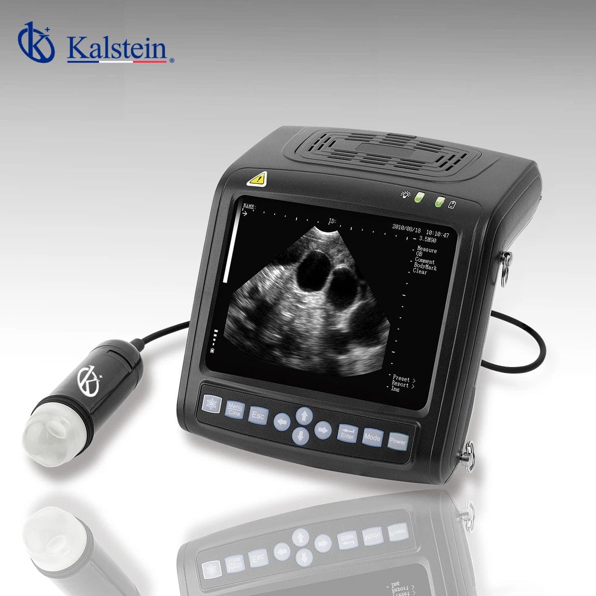 Exploration of Abdominal Health in Pets: The Efficiency of Veterinary Ultrasound