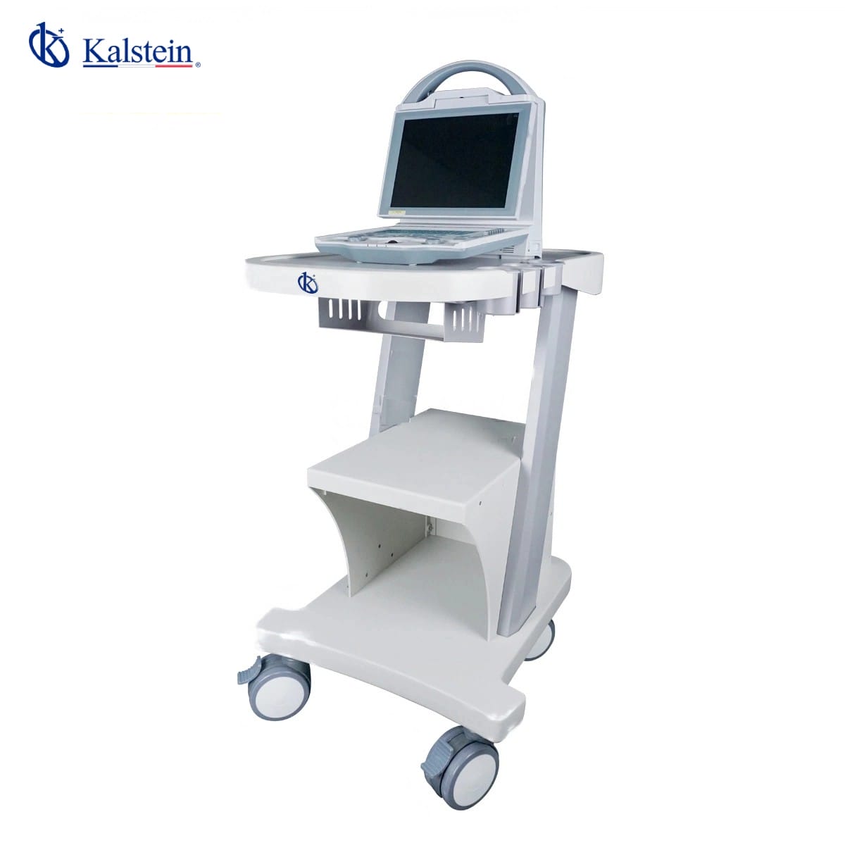 Unveiling the Future of Veterinary Care: The Power of Veterinary Ultrasound