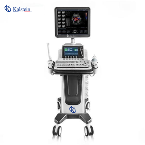 Veterinary Color Doppler - Accurate and Fast Cardiovascular Diagnostics