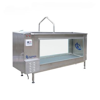 The Underwater Treadmill: An Unquestionable Ally in the Treatment of Heart Diseases in Pets