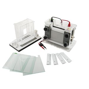 Molecular Revolution: The Evolution of Electrophoresis and the Kalstein Advantage