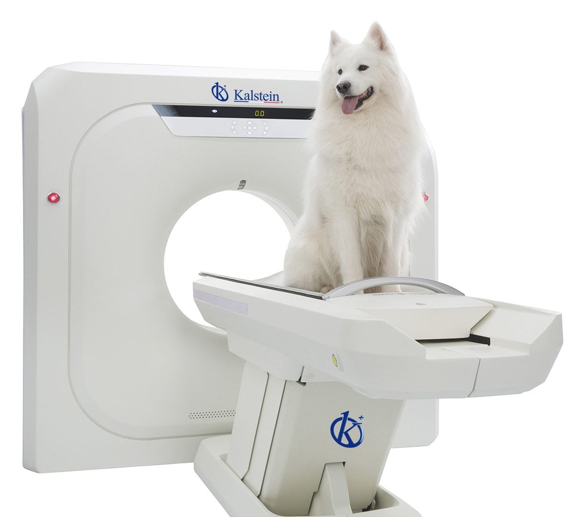 Revolutionizing Veterinary Diagnostics: A Deep Dive into Veterinary CT Scanners