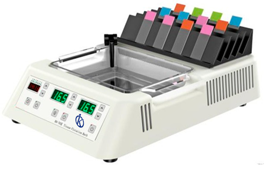 Pathological Anatomy: Revolutionary Pillar in Contemporary Medical Findings and the Importance of Its Laboratory Equipment