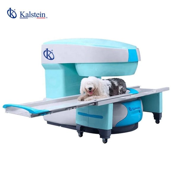 Exploring Veterinary MRI: Innovations and Insights from Kalstein