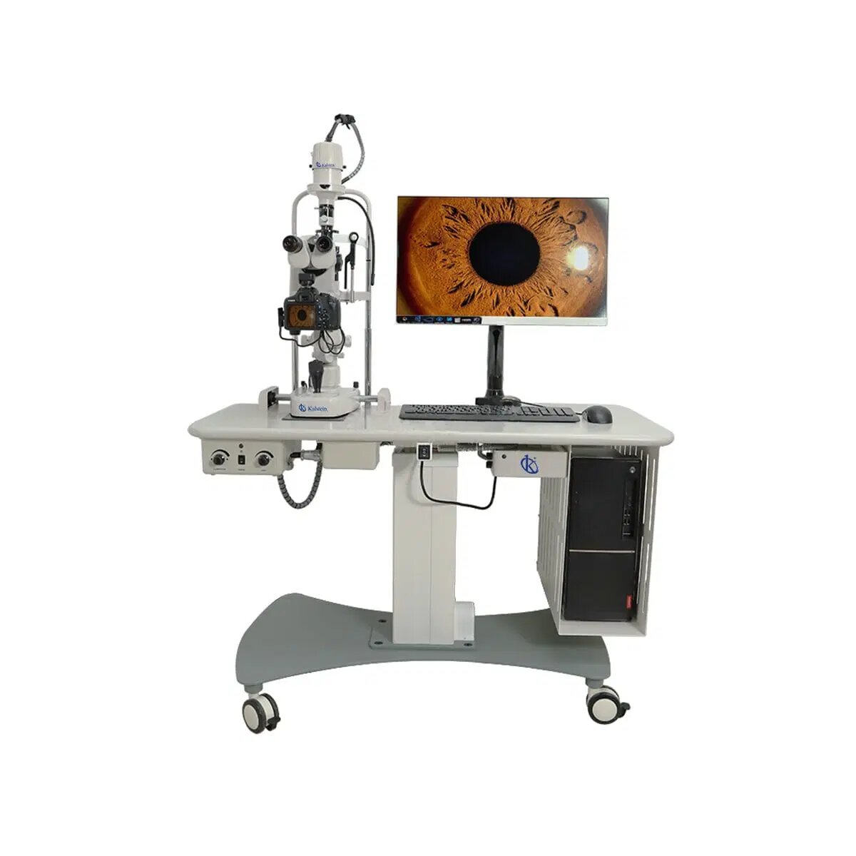 The Light Your Clinic Needs: Quality Veterinary Lamps