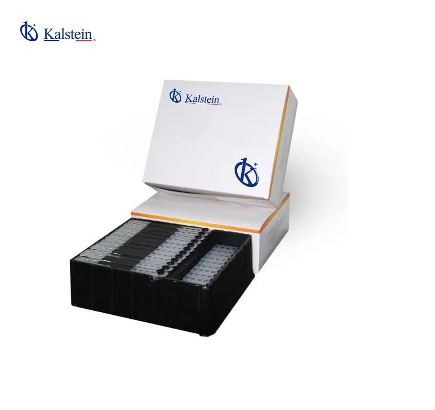 Laboratory Consumables for Greater Quality and Precision in Every Scientific Process