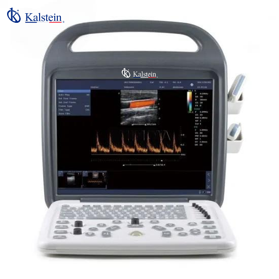 Unlocking the Potential of Veterinary Ultrasound Technology
