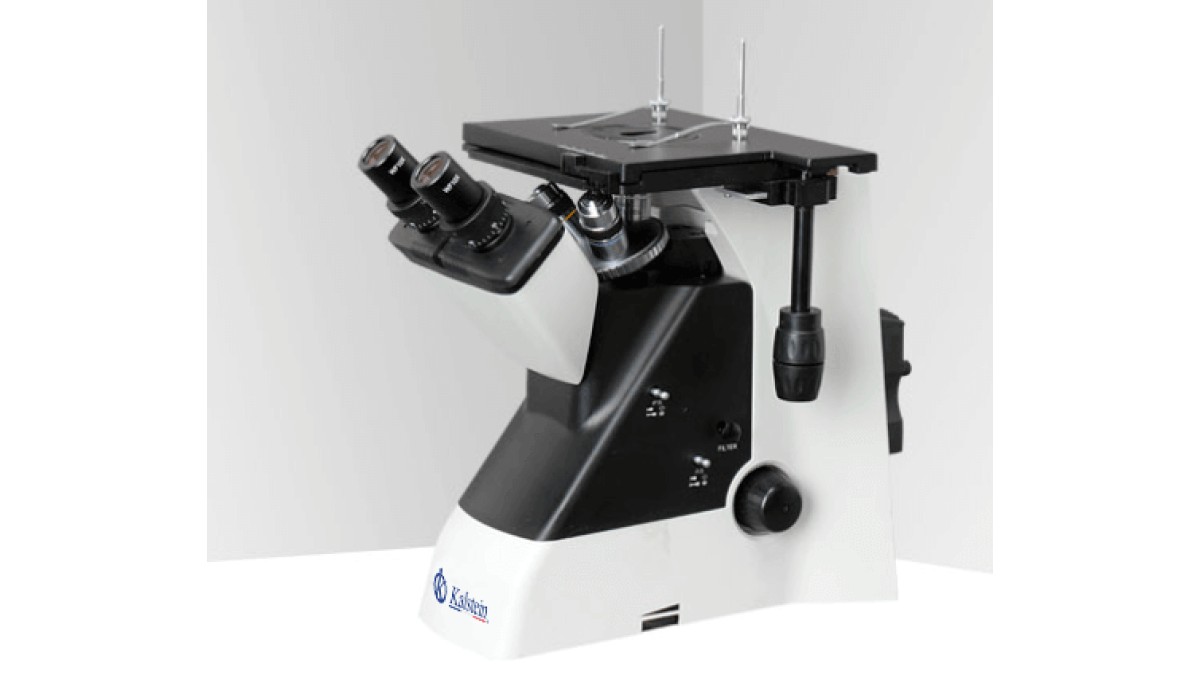 Trinocular Microscope YR0259: Practical Uses in Laboratories